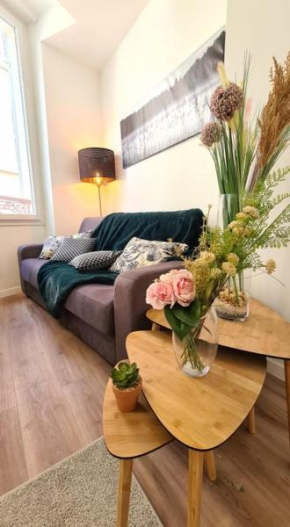 Bel appartement Type T3 climatisé